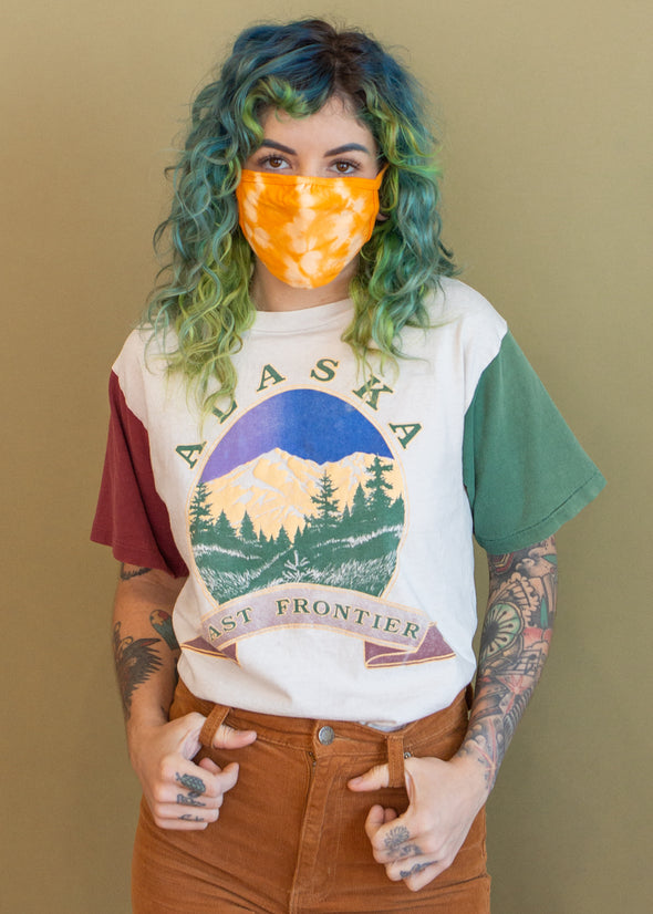 Vintage 90s Alaska Last Frontier Tee