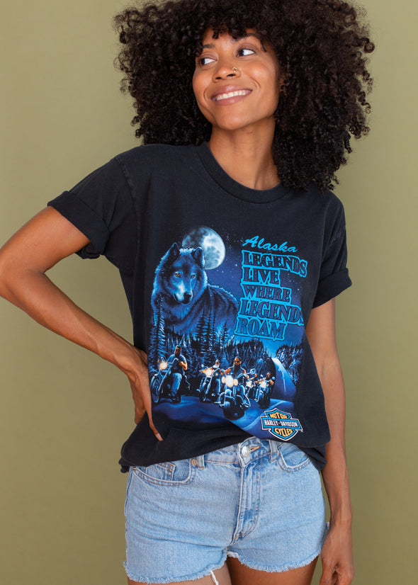 Vintage 1995 Harley Alaska Legends Tee