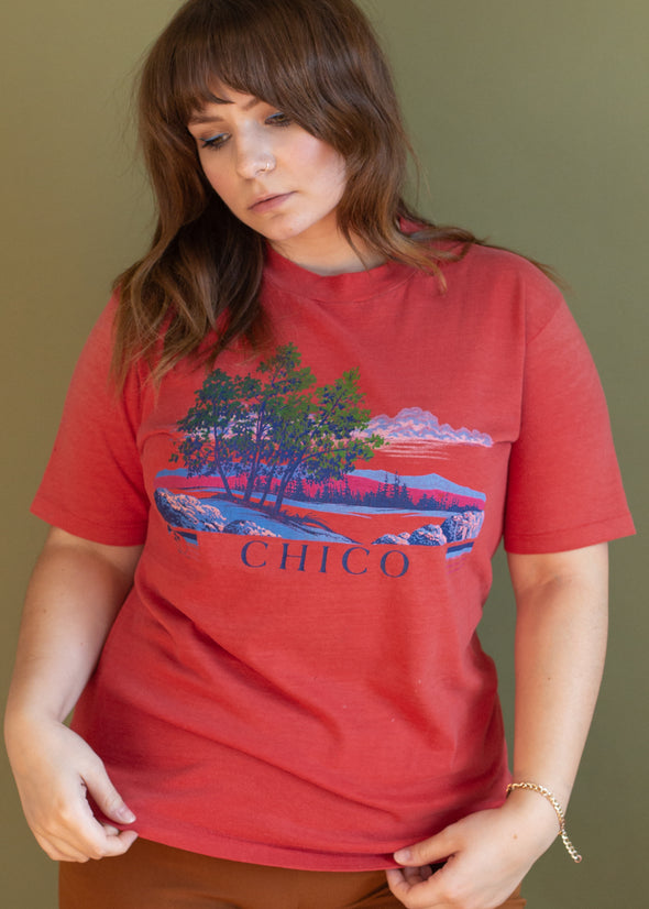 Vintage 1984 Thin Chico Tee