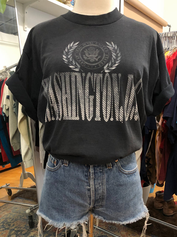Vintage 1990's Distressed Washington DC Tee