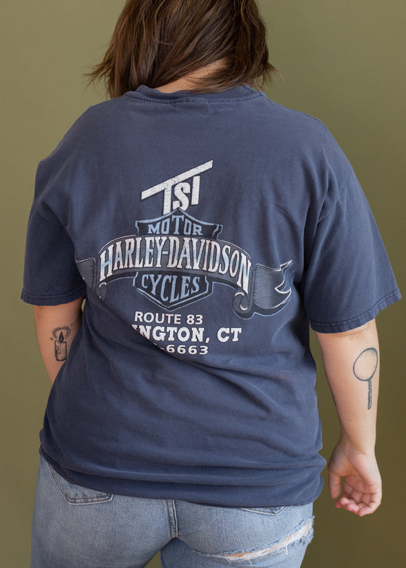Vintage 90s Faded Blue Harley CT Tee