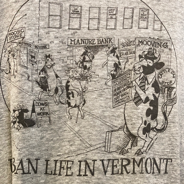 Vintage 1980s Urban Vermont Tee