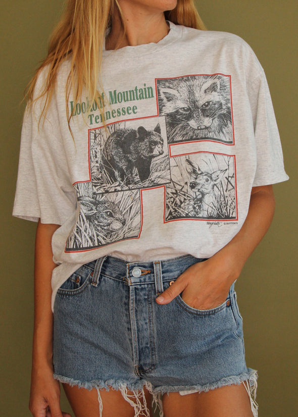 Vintage 90s Lookout Mountain Wilderness Tee
