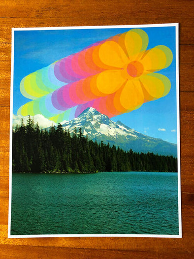 Mt Hood Layered Rainbow Flowers