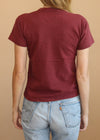 Vintage 70s/80s Silver Springs Falcons Track Tee